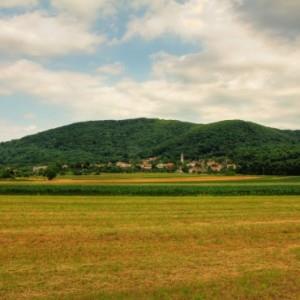 Arheološko najdišče Ajdovščina nad Rodikom